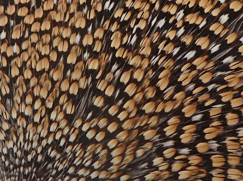 マテリアル – トラッタ ネットショップ